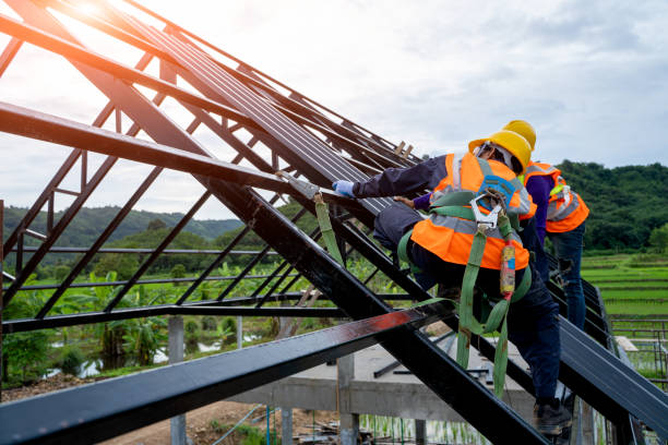 Best Roof Maintenance Services  in Wallis, TX