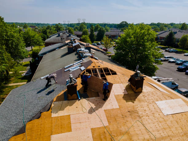 Quick and Trustworthy Emergency Roof Repair Services in Wallis, TX